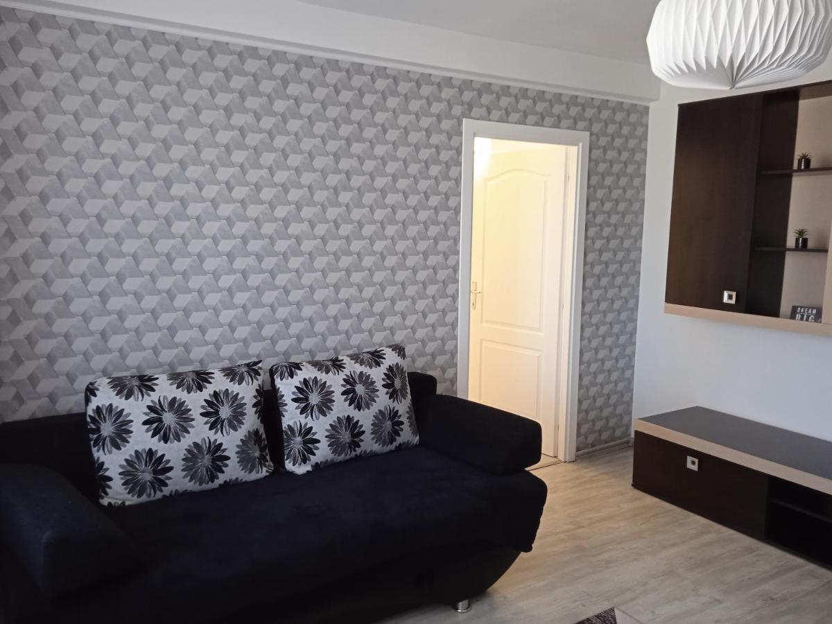 Ana Apartament Римніку-Вилча Екстер'єр фото