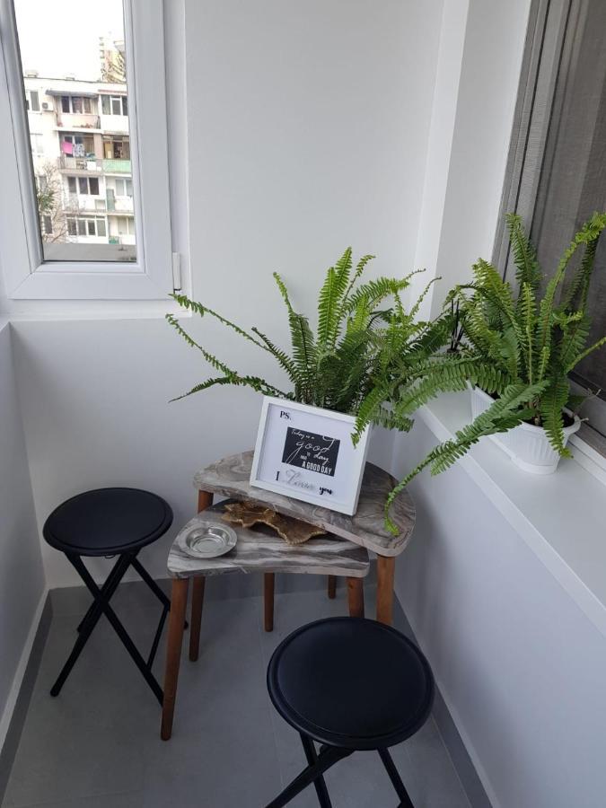 Ana Apartament Римніку-Вилча Екстер'єр фото