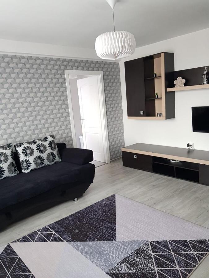 Ana Apartament Римніку-Вилча Екстер'єр фото