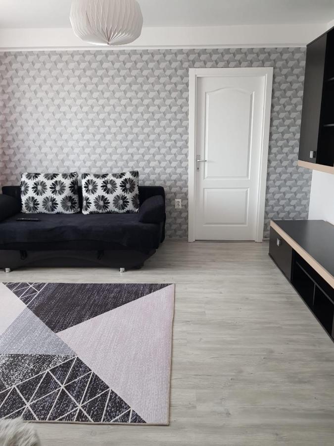 Ana Apartament Римніку-Вилча Екстер'єр фото