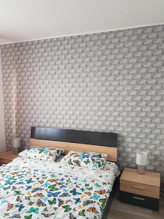 Ana Apartament Римніку-Вилча Екстер'єр фото
