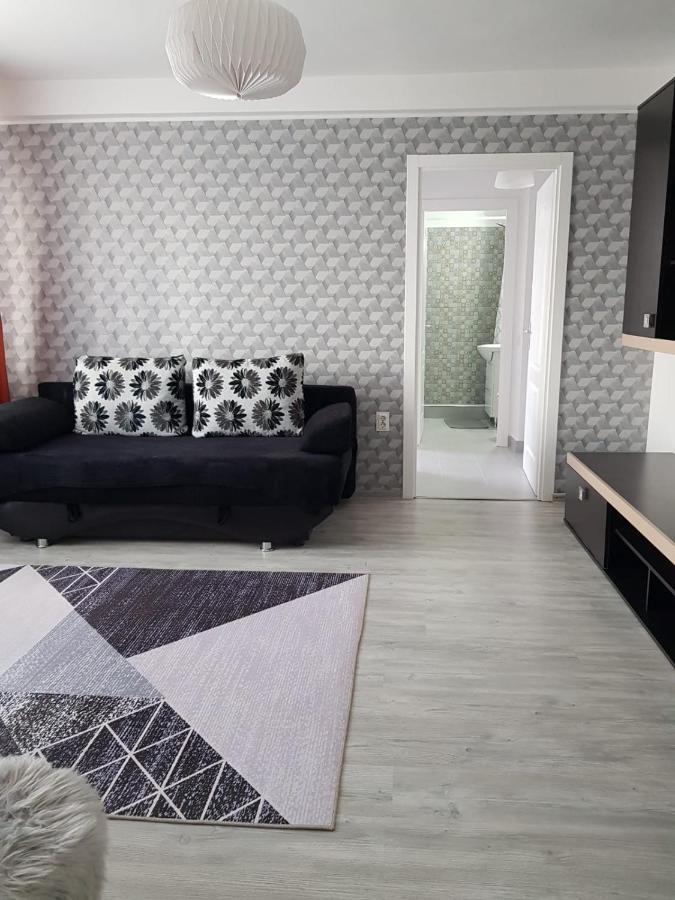 Ana Apartament Римніку-Вилча Екстер'єр фото