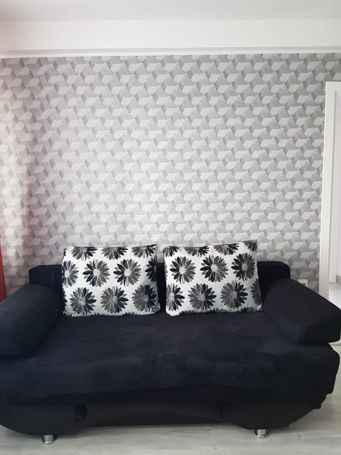 Ana Apartament Римніку-Вилча Екстер'єр фото