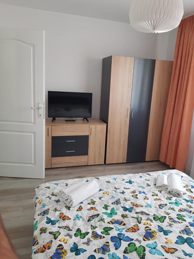 Ana Apartament Римніку-Вилча Екстер'єр фото
