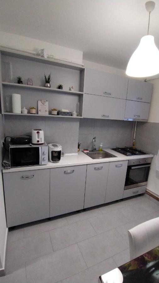 Ana Apartament Римніку-Вилча Екстер'єр фото